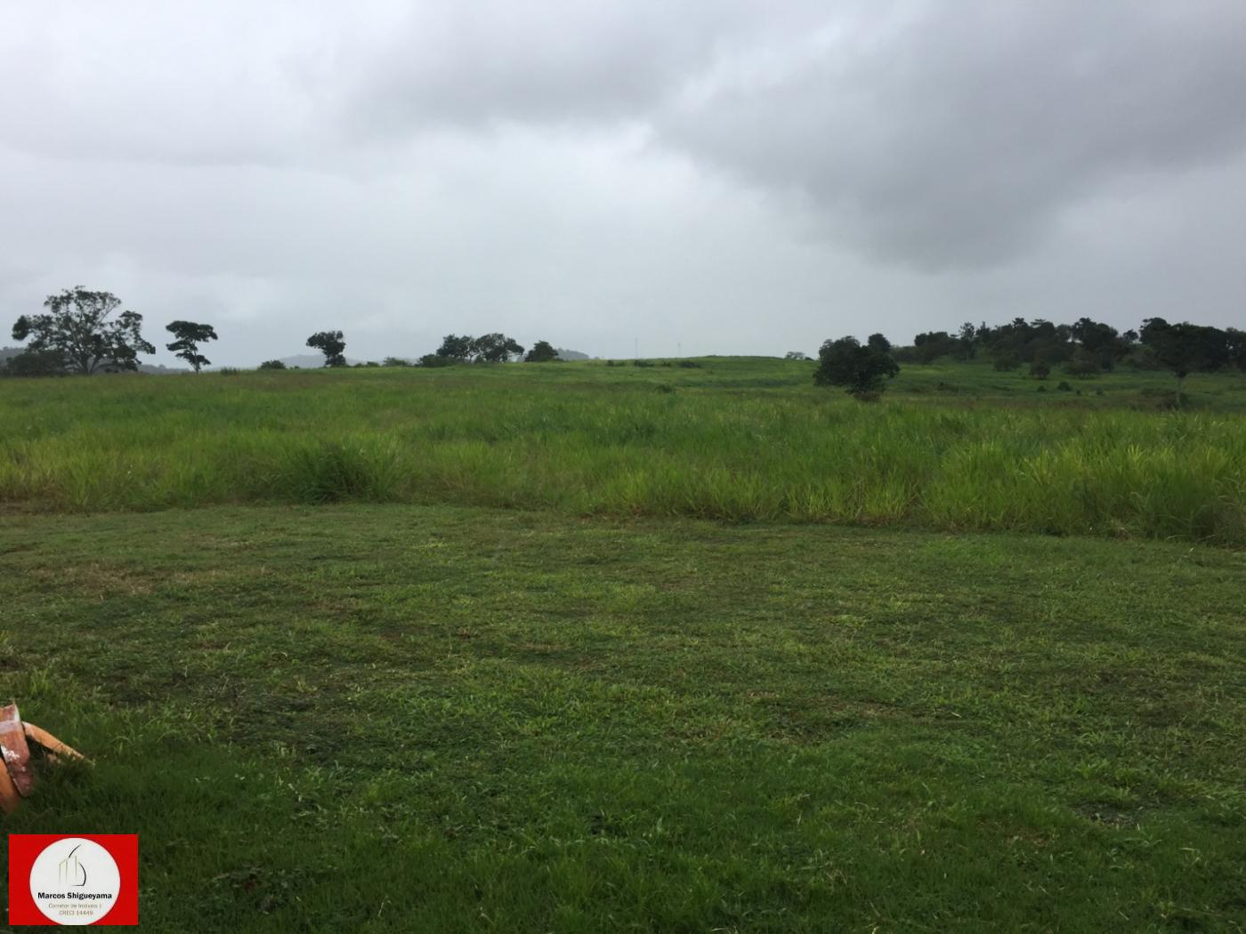 Fazenda à venda, 476500m² - Foto 4