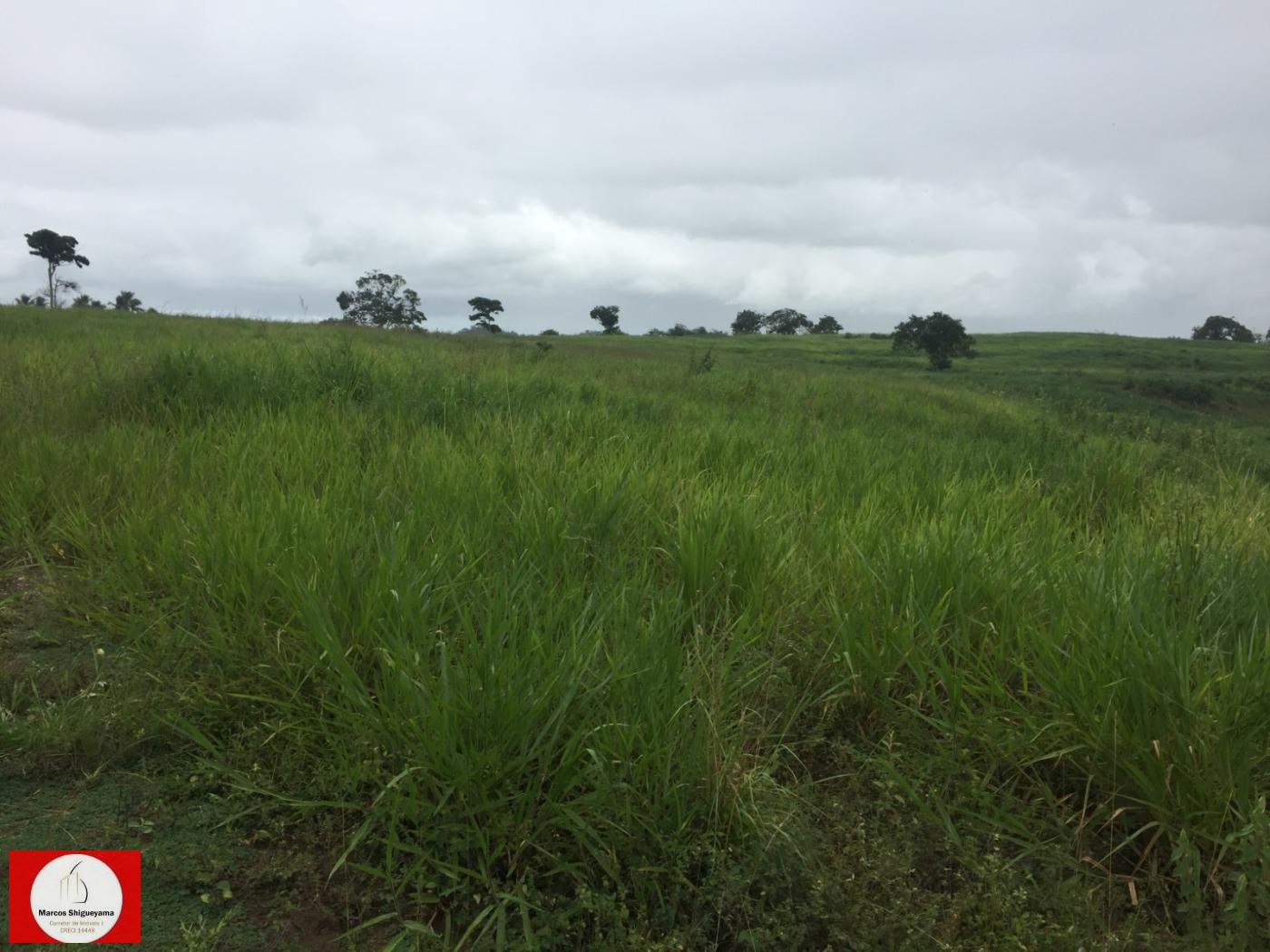 Fazenda à venda, 476500m² - Foto 8