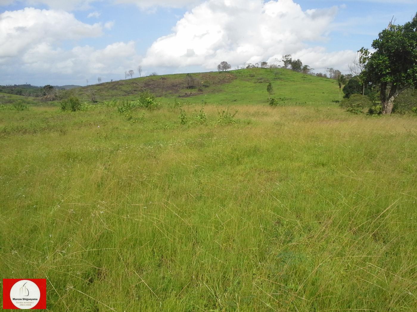 Fazenda à venda, 476500m² - Foto 13