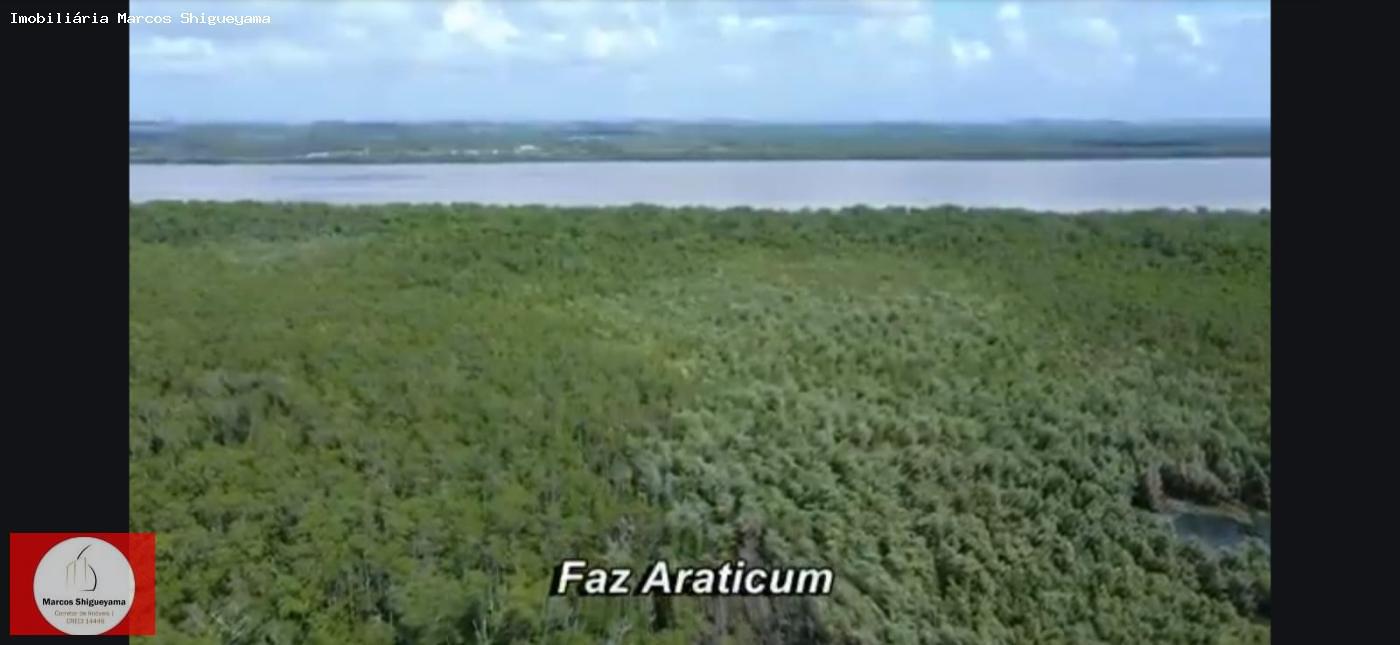 Fazenda, 40 hectares - Foto 3