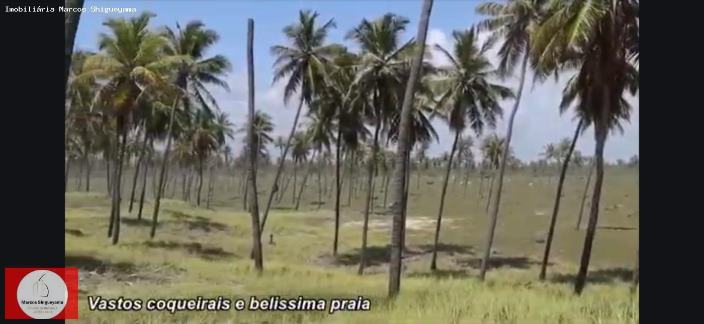 Fazenda, 40 hectares - Foto 8