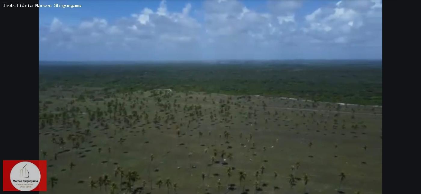 Fazenda, 40 hectares - Foto 9