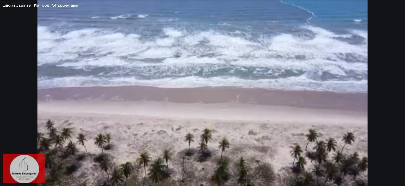 Fazenda, 40 hectares - Foto 12