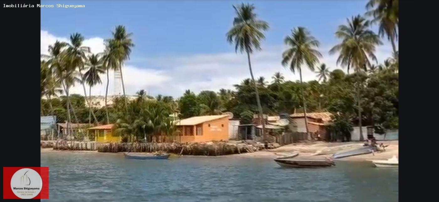 Fazenda, 40 hectares - Foto 14