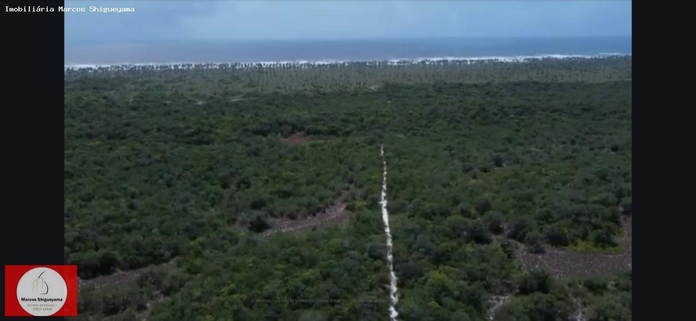 Fazenda, 40 hectares - Foto 17