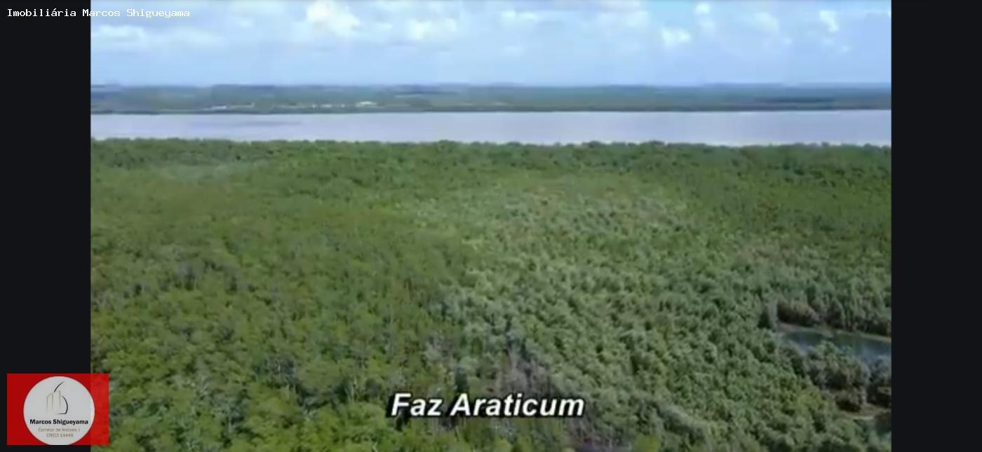 Fazenda, 40 hectares - Foto 19