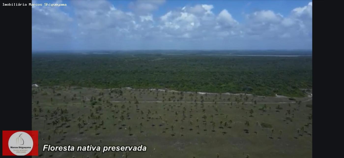 Fazenda, 40 hectares - Foto 23