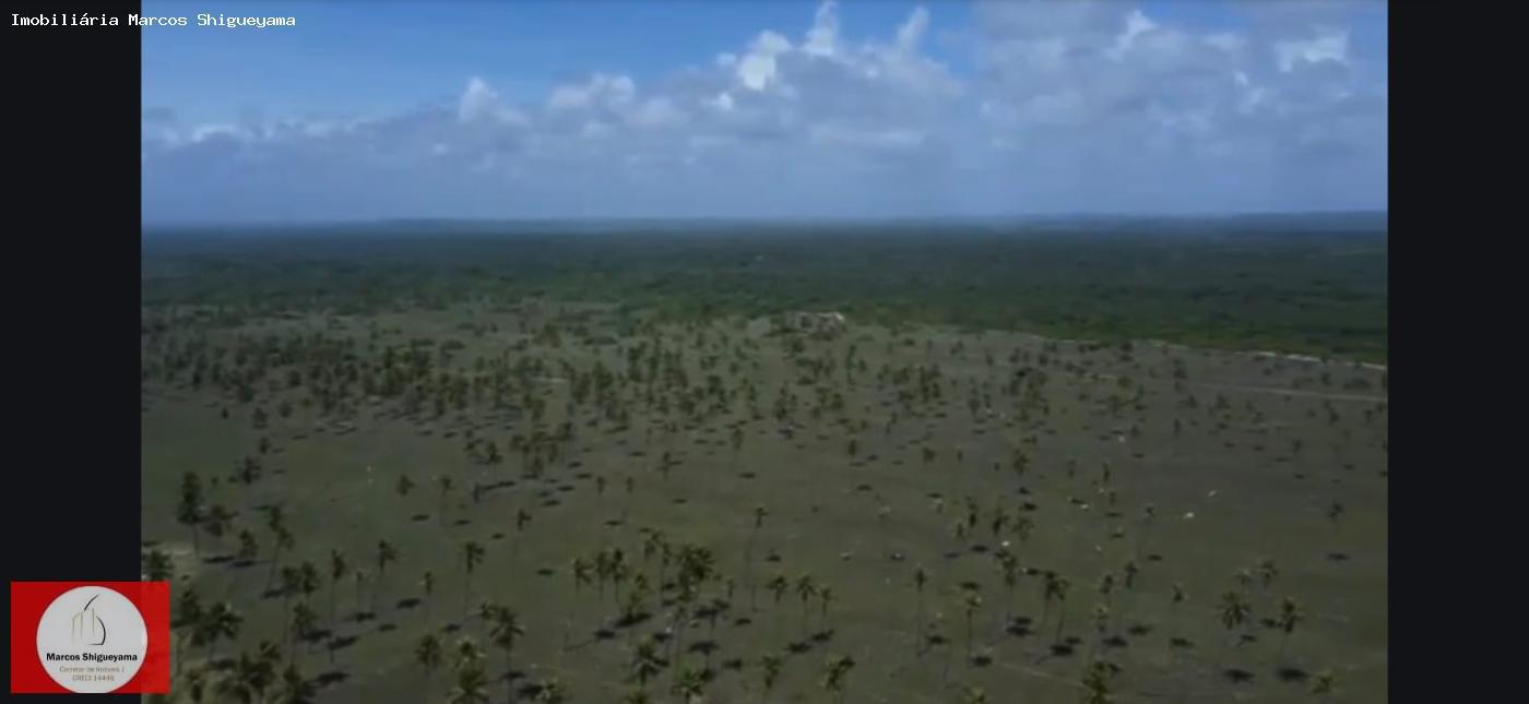 Fazenda, 40 hectares - Foto 26