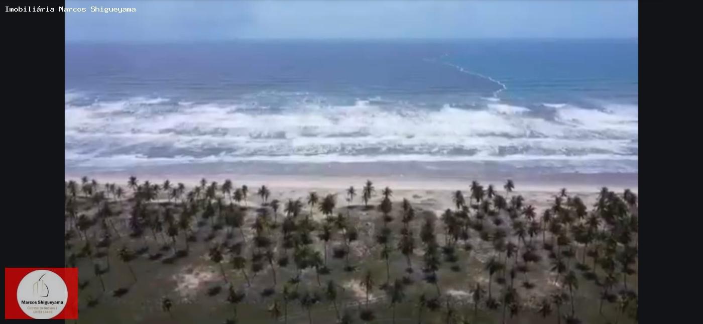 Fazenda, 40 hectares - Foto 27