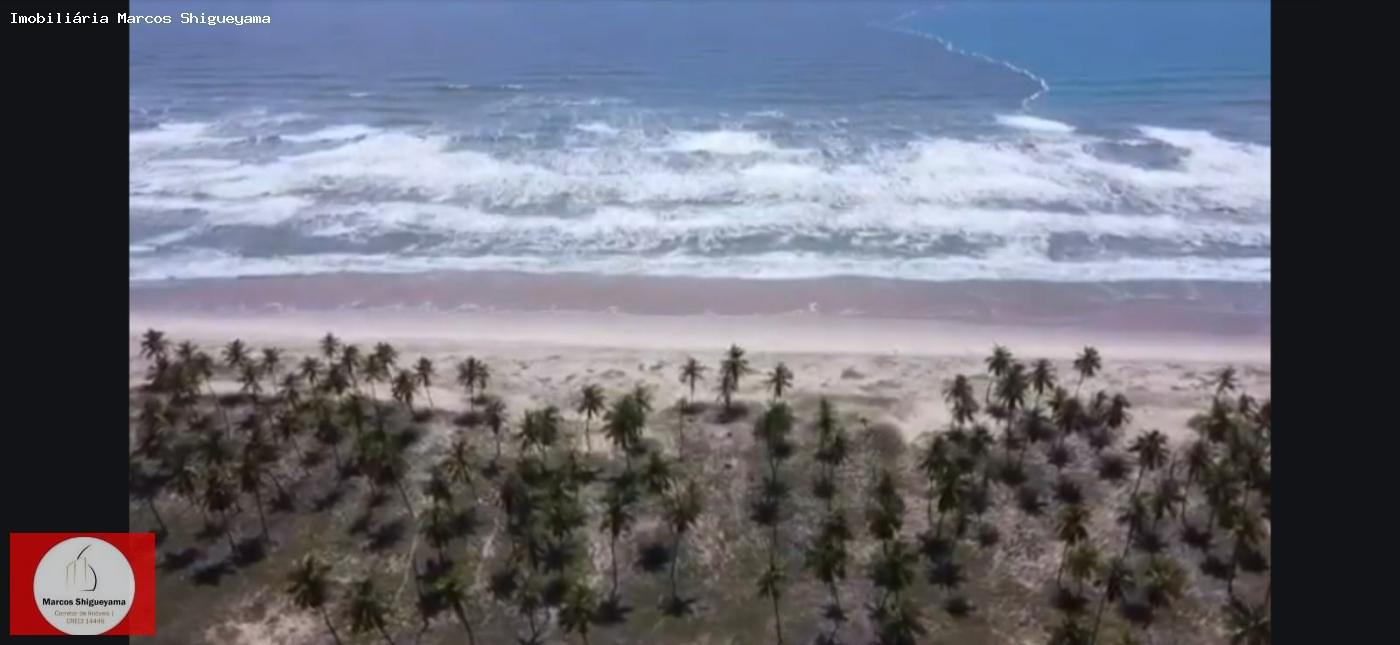 Fazenda, 40 hectares - Foto 28