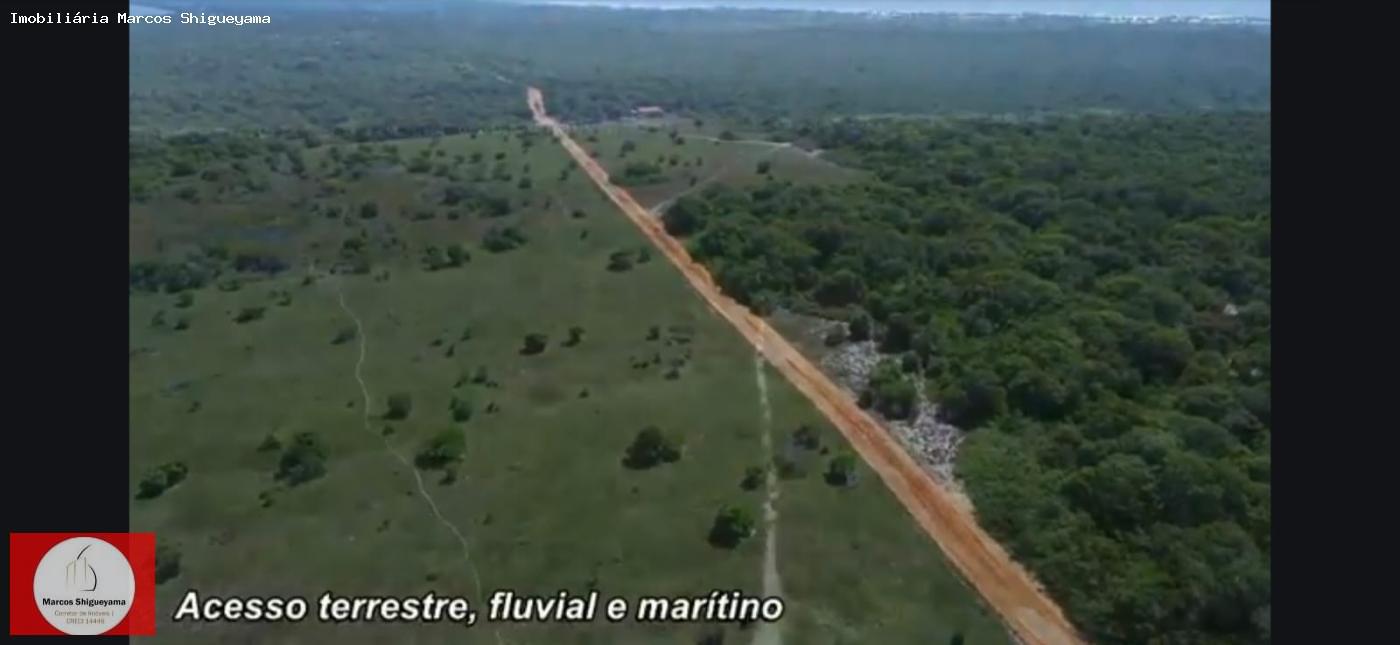 Fazenda, 40 hectares - Foto 31