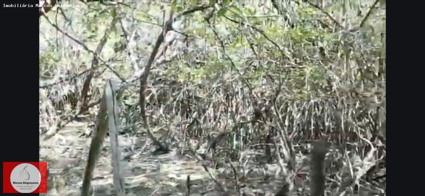 Fazenda, 40 hectares - Foto 33