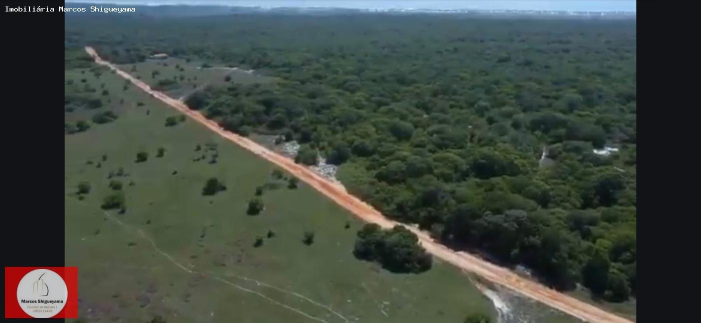 Fazenda, 40 hectares - Foto 35