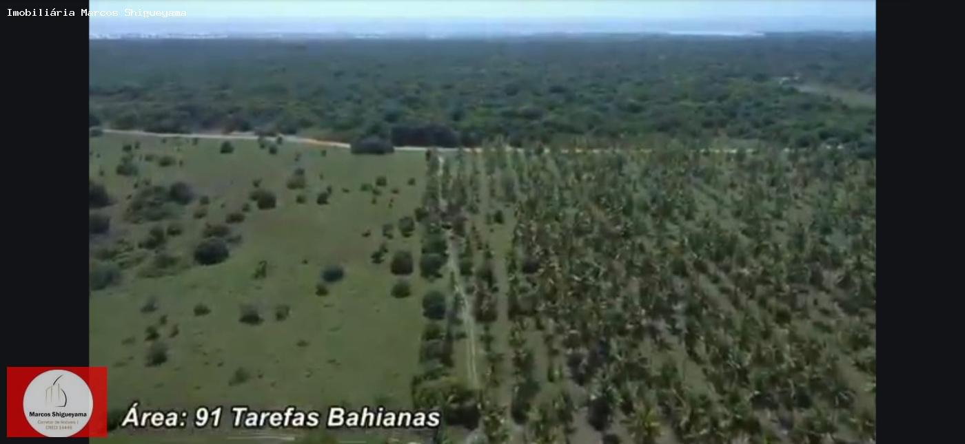 Fazenda, 40 hectares - Foto 36