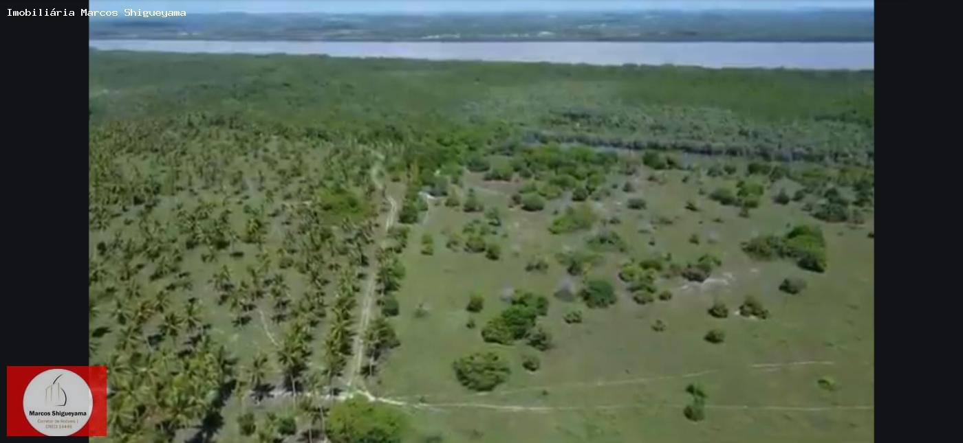 Fazenda, 40 hectares - Foto 39