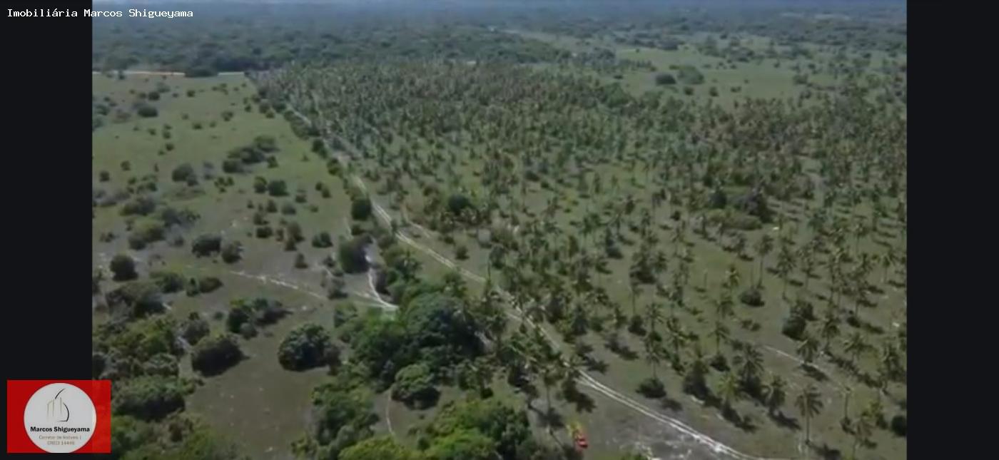 Fazenda, 40 hectares - Foto 40