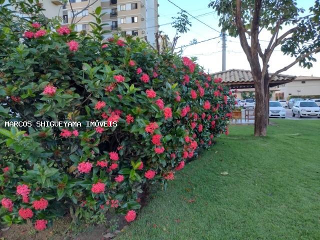 Apartamento à venda com 2 quartos, 55m² - Foto 12