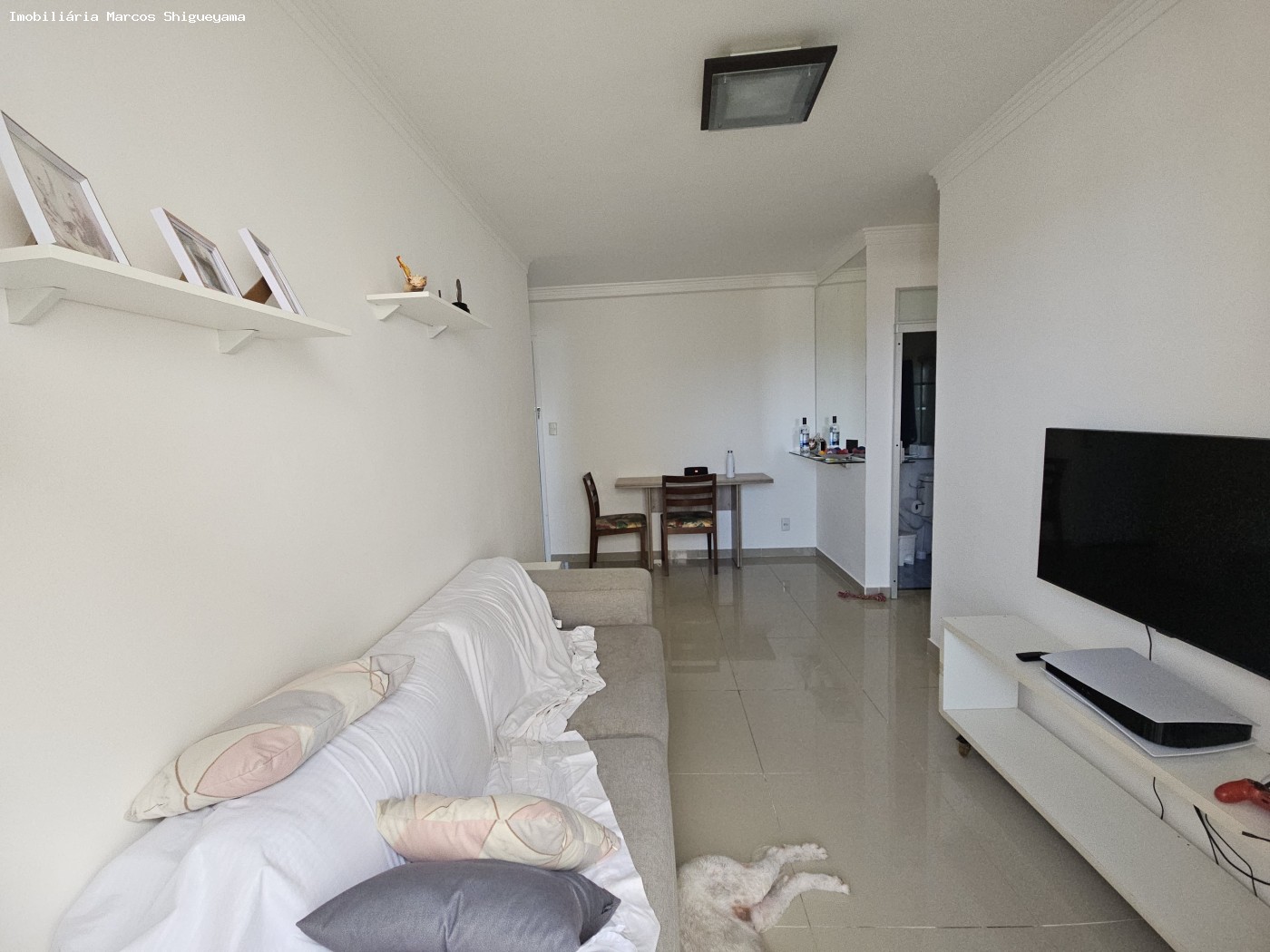 Apartamento à venda com 2 quartos, 47m² - Foto 7
