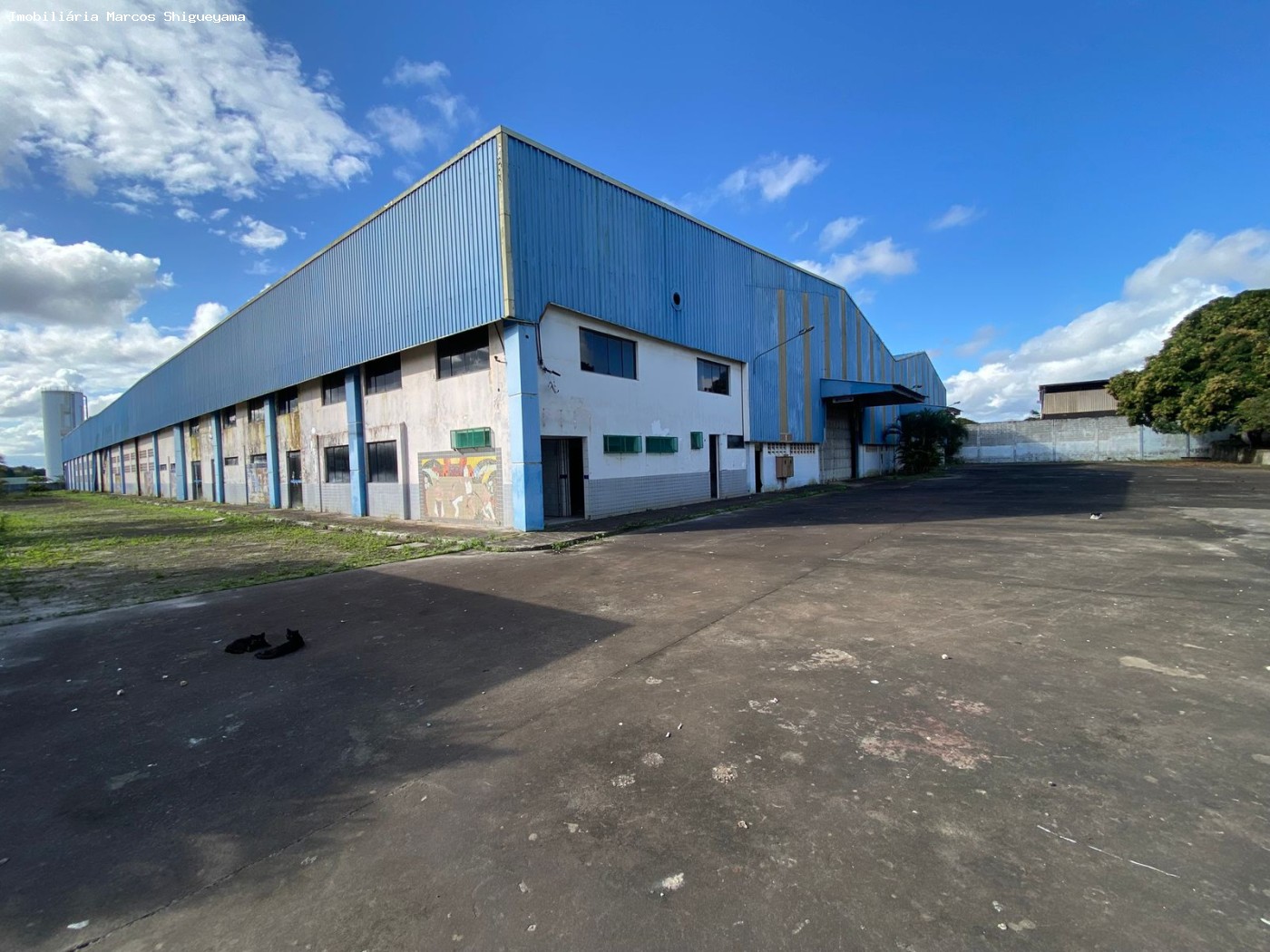 Depósito-Galpão, 12000 m² - Foto 2