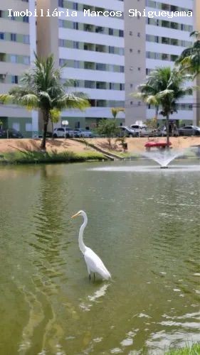 Apartamento, 2 quartos, 56 m² - Foto 7